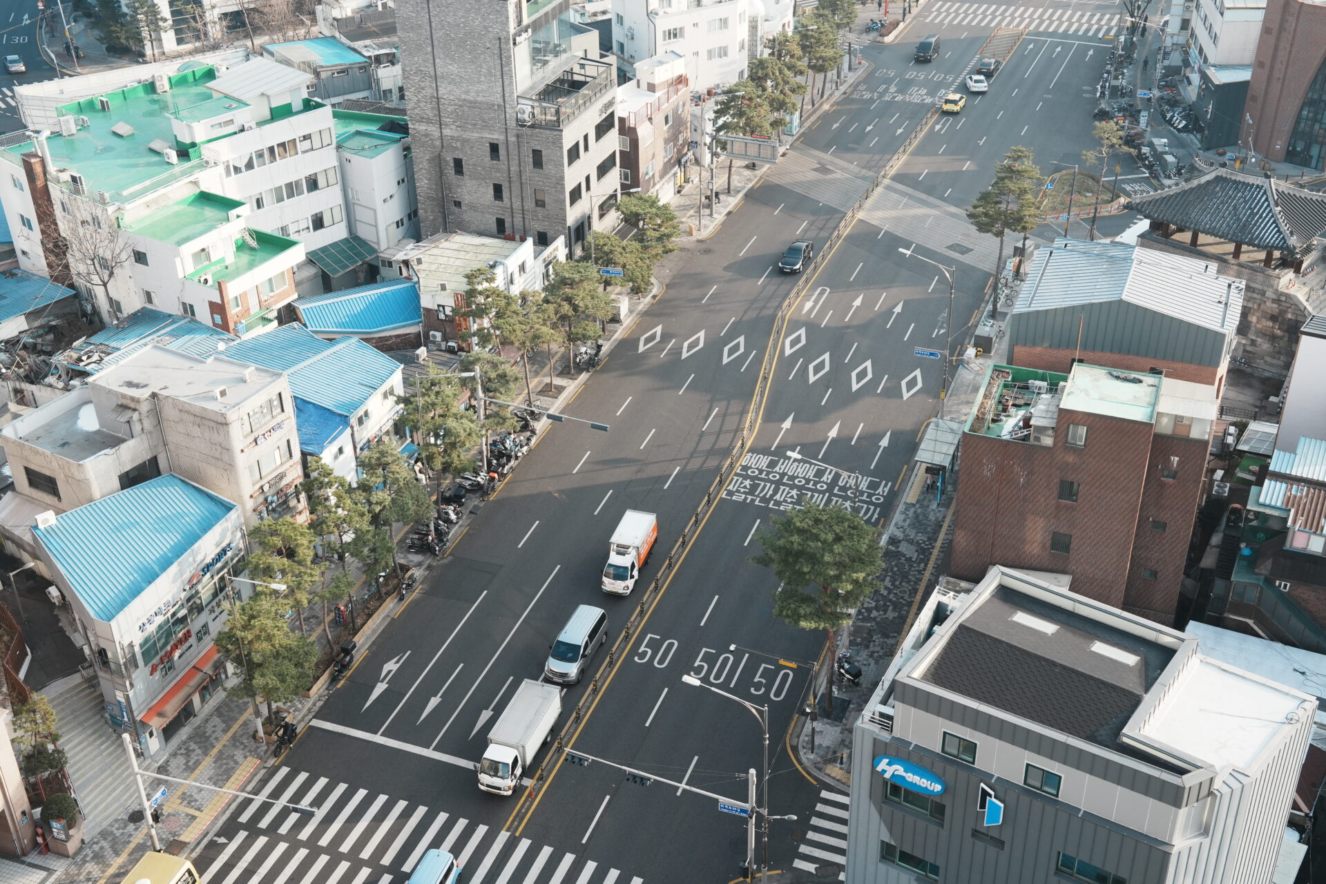 Mangrove Dongdaemun Korea マングローブ 東大門 ホテル